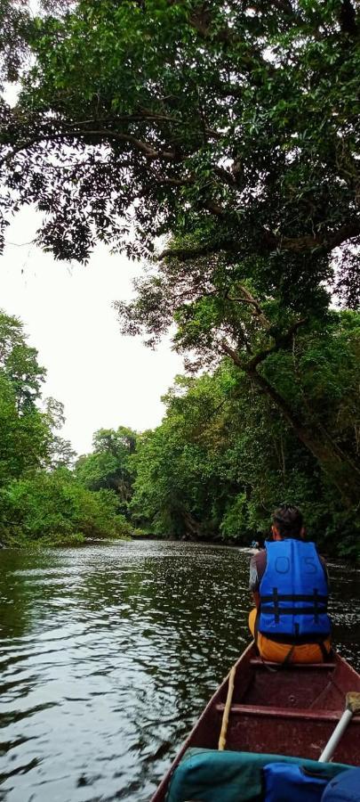 Belebar Studio Room Taman Negara Pahang Malaysia Kuala Tahan Εξωτερικό φωτογραφία